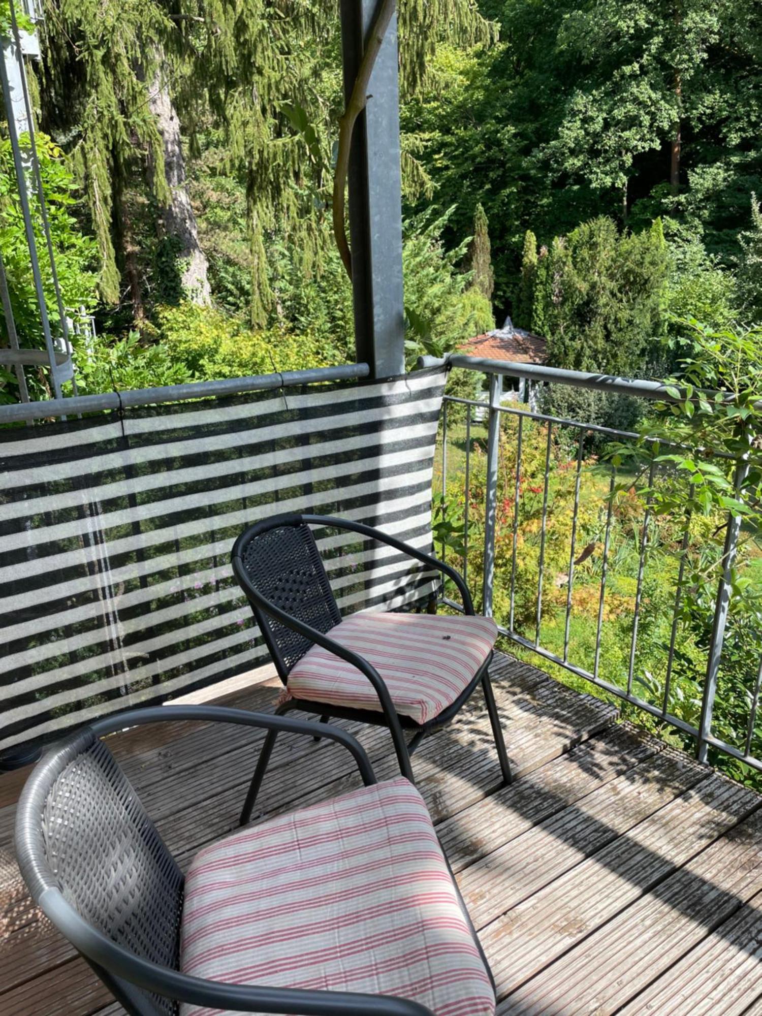 Stadt- Naturnah, Traumblick Und Balkon バーデン＝バーデン エクステリア 写真
